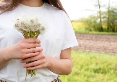 Kahverengi saçlı, uzun saçlı, gün batımında yaz bahçesinde bir buket karahindiba taşıyan bir kız. Metin için yer.