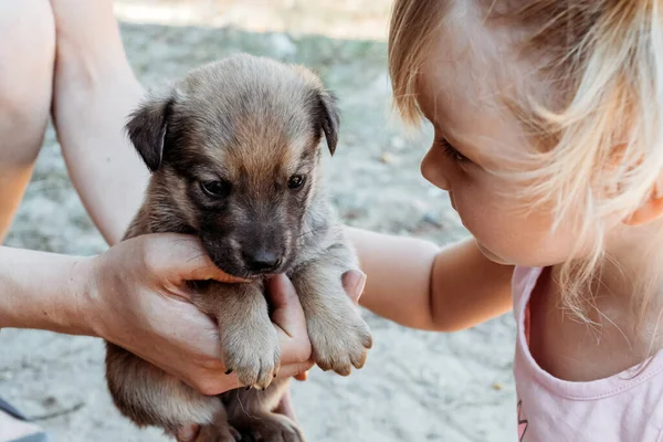 Liten Flicka Gammal Petting Valp — Stockfoto