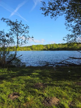 İngiltere 'de dalgalı su, berrak mavi gökyüzü ve her iki taraftan sarkan ağaç dalları ile göl. Ön planda otlak bir kıyı var. Kırsal veya arka plan tasarımı için doğal görünüm mükemmel.