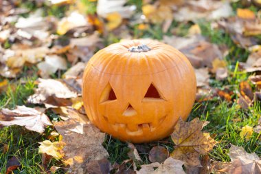 Gülümseyen bir ifadeyle oyulmuş balkabağı canlı sonbahar yapraklarıyla çevrili çimenlere dayanır. Cadılar Bayramı kutlamalarının ve mevsimsel cazibenin özünü yakalar.