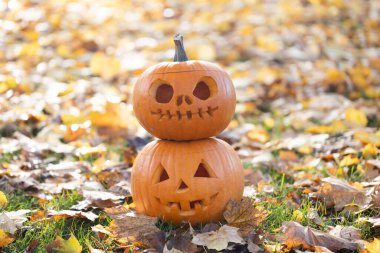 Eşsiz oyma yüzlü balkabakları, canlı sonbahar yapraklarıyla çevrili, açık havada neşeli bir Cadılar Bayramı ruhunu çağrıştırıyor.