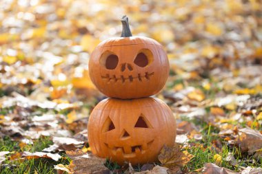 Oyulmuş balkabakları, biri kafatası ve diğeri balkabağı kabağı kabağı, canlı sonbahar yapraklarına yerleştiriliyor, neşeli bir Cadılar Bayramı atmosferi yaratıyor.