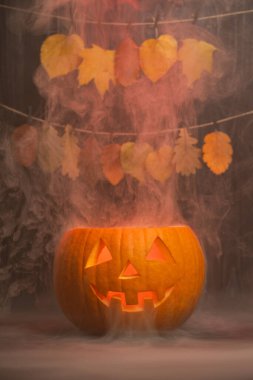 Parlak sonbahar yaprakları ve sisle çevrili parlayan balkabağı Cadılar Bayramı ruhunu sıcak, davetkar bir atmosfer ve mevsimsel cazibeyle güçlendiriyor.