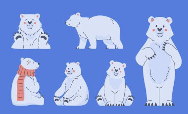 Durmak, oturmak, yürümek ve eşarp takmak gibi farklı pozlarda ve ifadelerde bir dizi kutup ayısı karakteri..