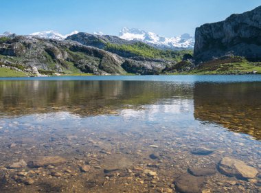 Alp dağ Gölü manzarası. Picos de Europa Milli Parkı, İspanya, Asturias Ercina göl. Kar dağ doruklarına.