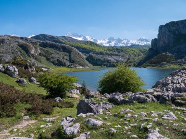 Bahar manzara Covadonga göl yakınındaki. Picos de Europa Milli Parkı, İspanya, Asturias Ercina göl. Kar dağ doruklarına.