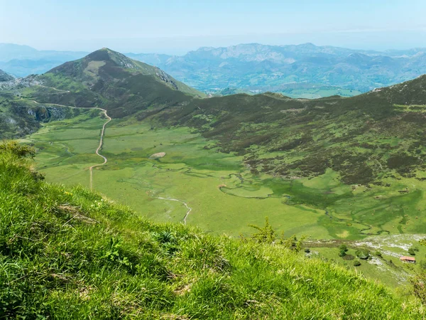 Pâturage Vert Dans Parc National Des Picos Europa Espagne Asturies — Photo