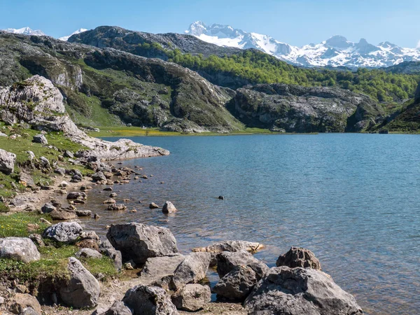 Lagos Covadonga Lago Ercina Parque Nacional Picos Europa España Asturias — Foto de Stock