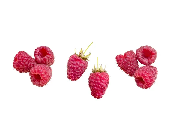 Red Ripe Raspberry Isolated White Berries Peduncles — Stock Photo, Image
