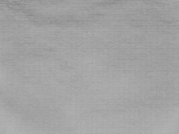 Light Gray Polyamyde Active Outerwear Fabric Texture Swatch — Stock Photo, Image