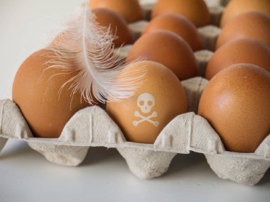 Skull and crossbones stamp on the chicken eggs. Pesticide contamination concept  clipart