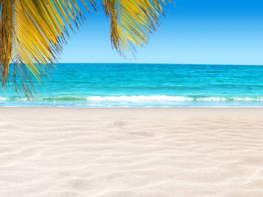 Tropikal beyaz kumlu plaj üzerinde asılı Hindistan cevizi hurma yaprakları 