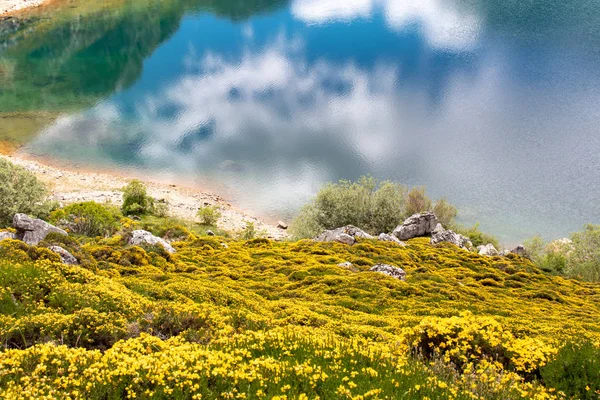 Paisaje primaveral cerca de los lagos de Saliencia España, Asturi — Foto de Stock
