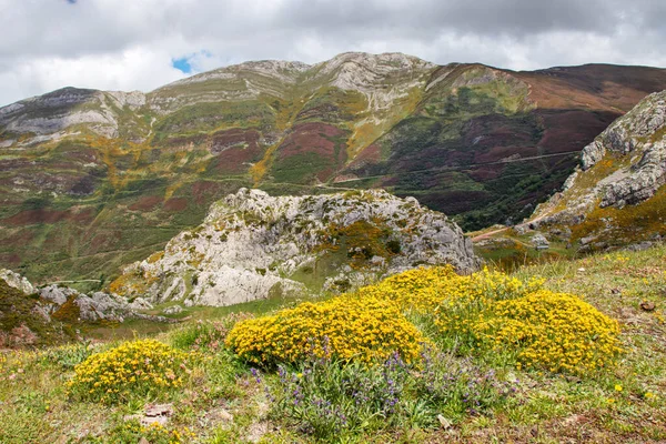 Färgglada Landskap Somiedo Nationalpark Naturreservat Asturien Norra Spanien Våren Berg — Stockfoto