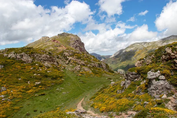 Paisaje Floreciente Parque Nacional Somiedo Reserva Natural Asturias Norte España — Foto de Stock
