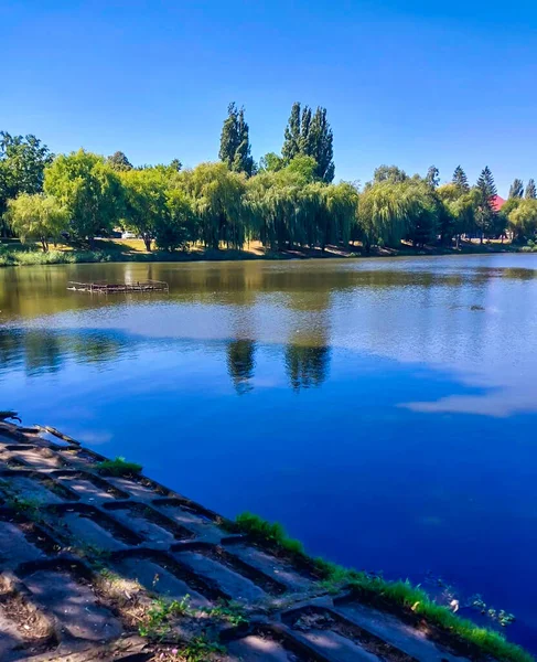 Chernivtsi 'deki Jovtnevy Parkı