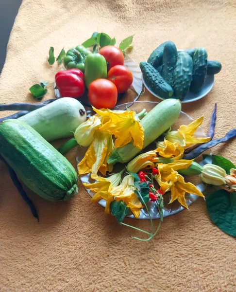 taze Bahçe sebze hasat