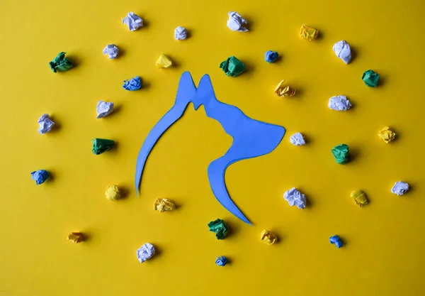 The World of a Dog and Cat