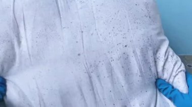 Eldivenli bir adam, evdeki kimyasalların arka planında siyah küf lekeleri olan bozuk bir yastık gösteriyor..