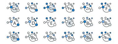 Vitamin ve mineral ana hatlı piktogram paketi. Beslenme rehberleri ya da okul posterleri için kullanışlı. Sağlık hizmeti ya da biyoloji teması. Vektör ögeleri beyazda izole edildi.