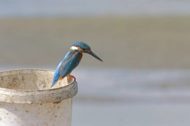 İsrail 'deki kumsalda bir balıkçı..