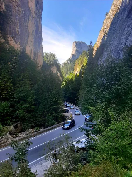 Romanya dağlarının güzel manzarası 