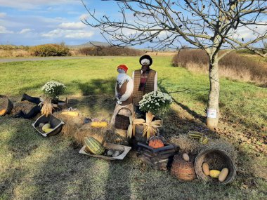 Sonbahar süslemeleri, sarı yapraklar