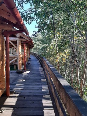 Parktaki tahta köprü.