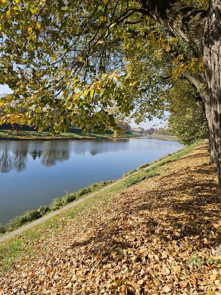 Ağaçlar ve yansımalarla dolu sonbahar manzarası