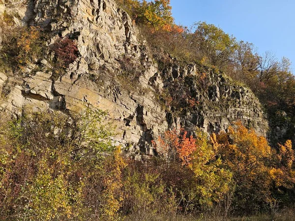 Sonbaharda ağaçların güzel sonbahar manzarası.