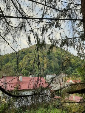Sonbahara giden parkın güzel manzarası