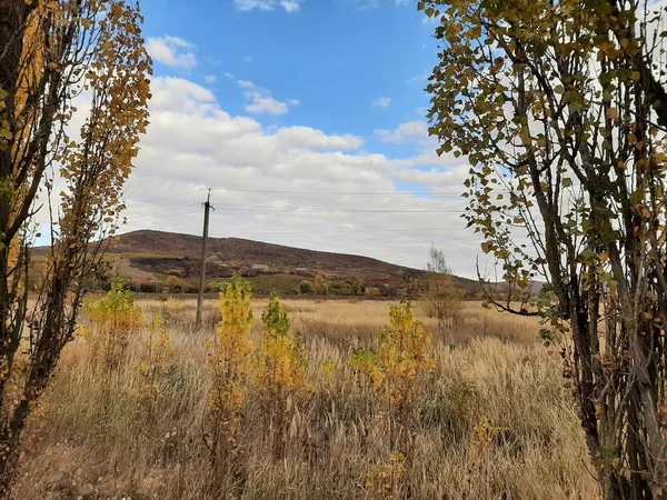 Ağaçlar ve yapraklarla dolu güzel sonbahar manzarası