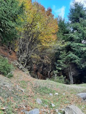 Güzel dağ manzarası. Doğa