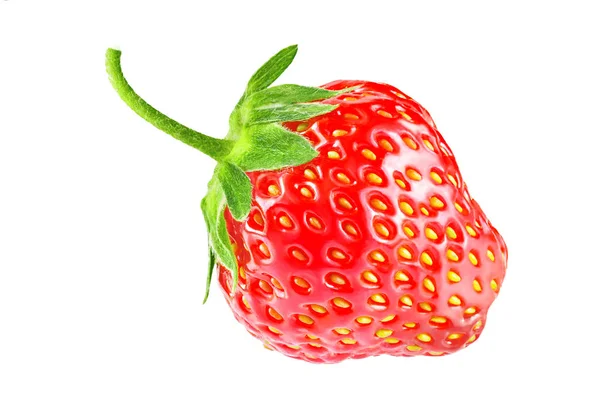 Design Element Fresh Ripe Berry Strawberry Isolated on White Bac — Stock Photo, Image