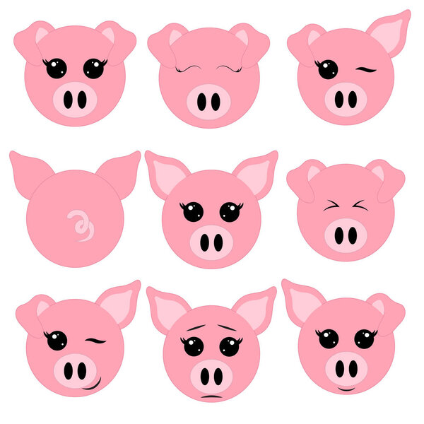 Piggy, 9 pig faces