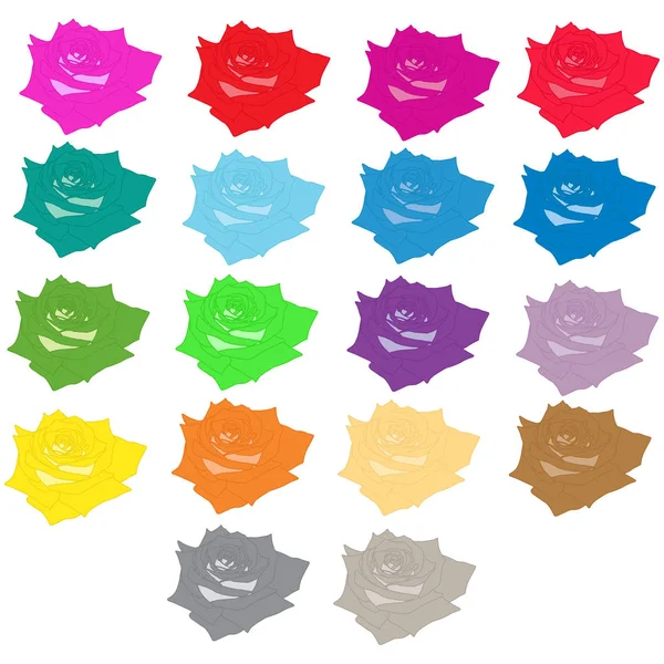 Gül, çok renkli gül kümesi