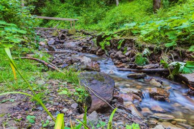 dağ nehir orman yoluyla