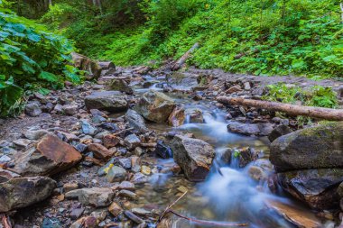 Ormanda güzel bir şelale