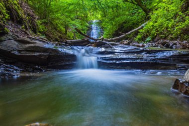 Ormandaki bir şelalenin dikey görüntüsü