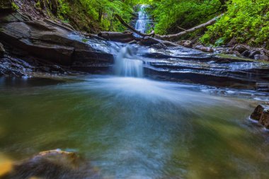 Tayland ormanındaki şelale