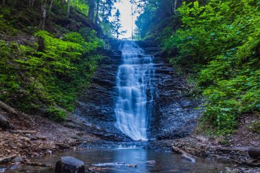 Ormandaki şelalenin güzel bir görüntüsü.