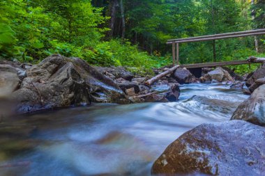Ormanda güzel bir şelale