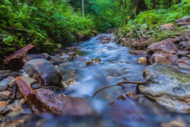 Ormanda güzel bir şelale