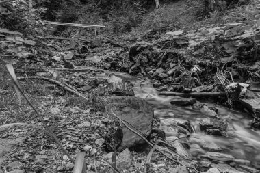 Kafkasların dağlarındaki ormandaki güzel dağ şelalesi..