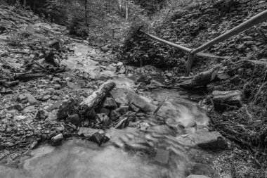 Ormandaki kayaların arasından akan bir şelalenin dikey görüntüsü.