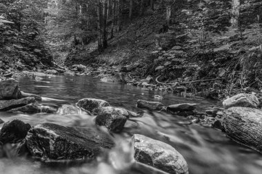 Güzel dağ nehir şelale orman.