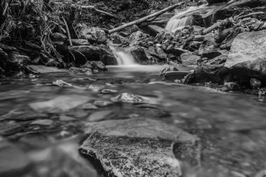 Ormanda güzel bir şelale