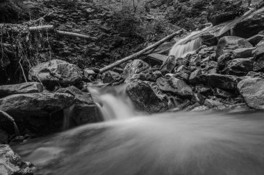 Siyah ve Beyaz Şelale