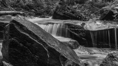 Ormandaki bir şelalenin dikey yakın çekimi.