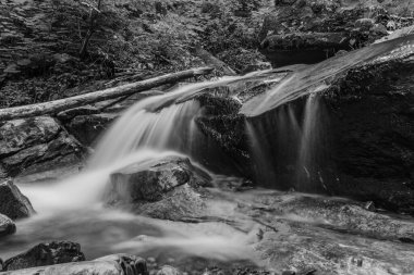 bir şelalenin siyah beyaz fotoğrafı
